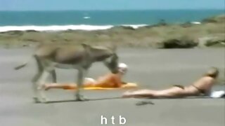 Düşük, Orta, lezbiyen hd porno izle Büyük, Büyük Otobüs